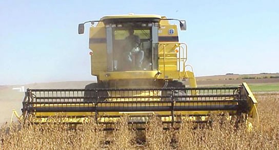 38178_agropecuarias